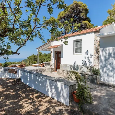 Bleu&vert Villa *